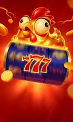 Chicken Coin